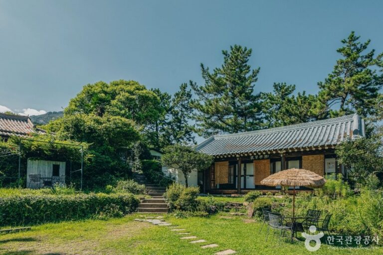 [全羅南道] 薛芽茶園 (설아다원)