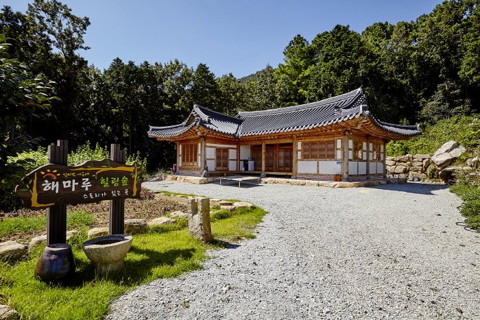 [全羅南道] 太陽廊臺療癒林 (해마루 힐링숲)
