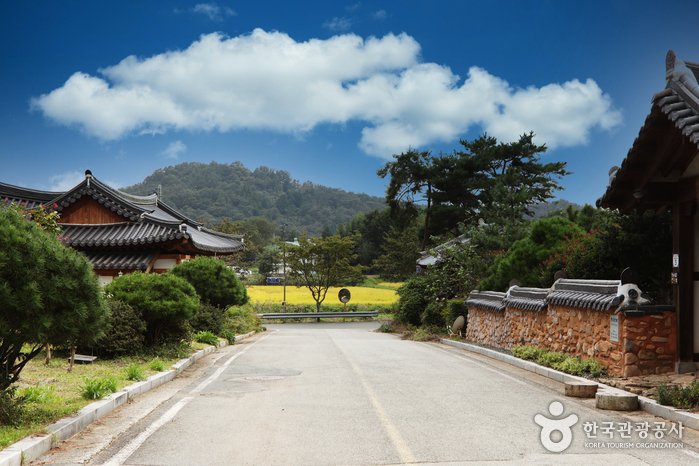 [全羅南道] 康津月光韓屋村(강진달빛한옥마을)