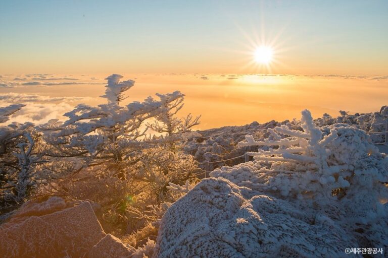 [濟州] 漢拏山(한라산)