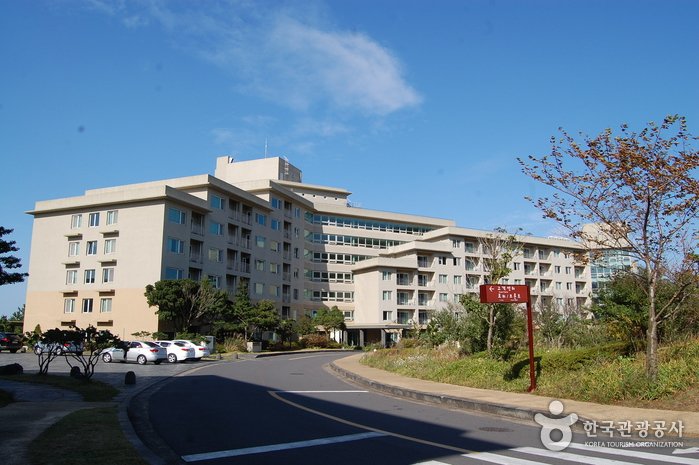 [濟州] 濟州韓華渡假村(한화리조트 / 제주)
