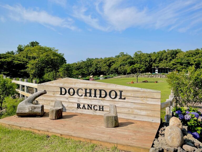 [濟州] Dochidol羊駝牧場(도치돌 알파카목장)