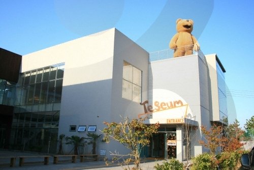 [濟州] 濟州泰迪熊博物館(Teseum)(제주테지움)
