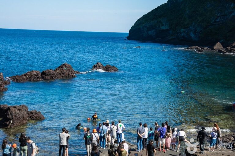 [濟州] 城山浦海女下水採收表演場(성산포 해녀물질공연장)