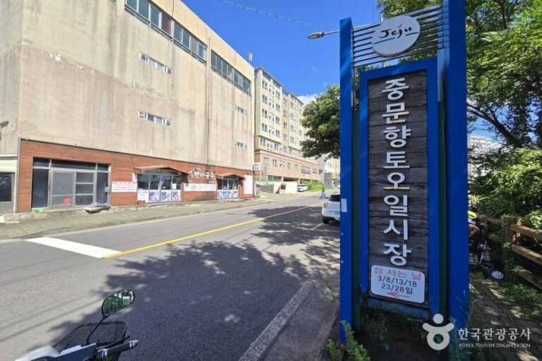 [濟州] 中文鄉土五日市場(중문향토오일시장)